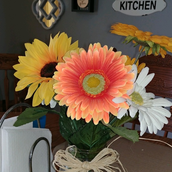 Meet your Posher, Terra - Picture 1 of 1